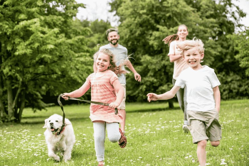 Towards Early Retirement: Essential Financial Planning Guides